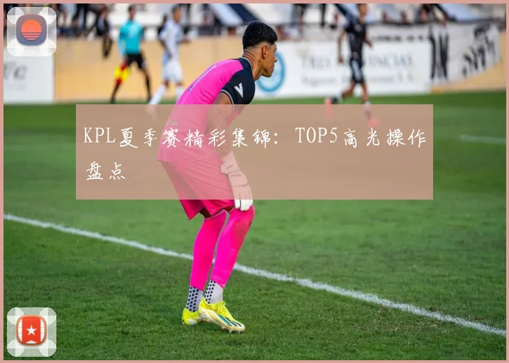 KPL夏季赛精彩集锦：TOP5高光操作盘点