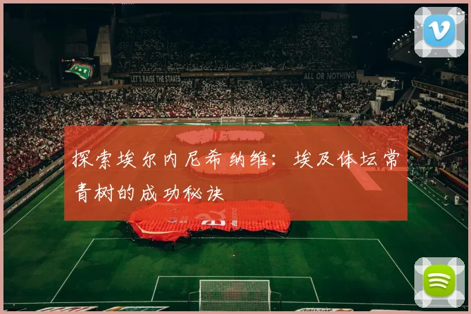探索埃尔内尼希纳维:埃及体坛常青树的成功秘诀